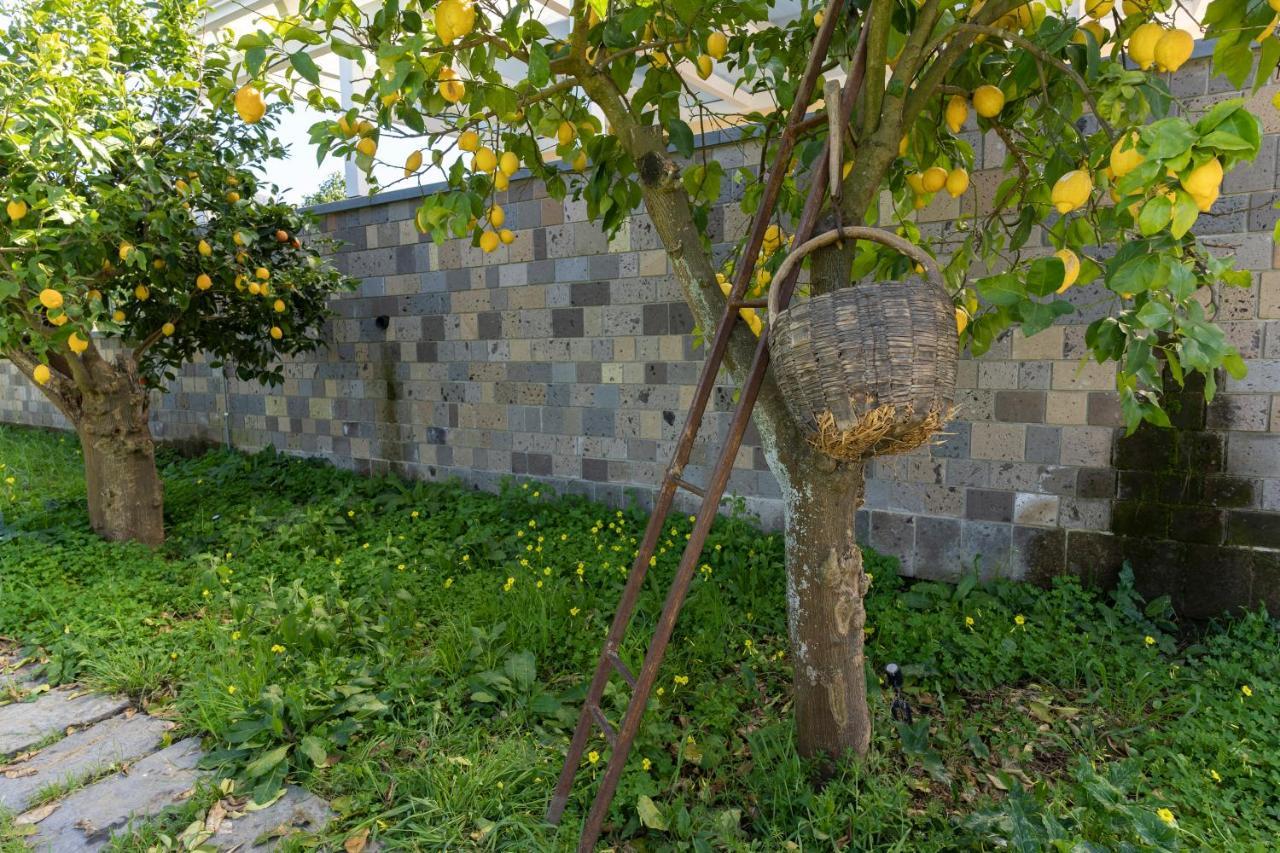 Tenuta Di Leva Piano di Sorrento Ngoại thất bức ảnh