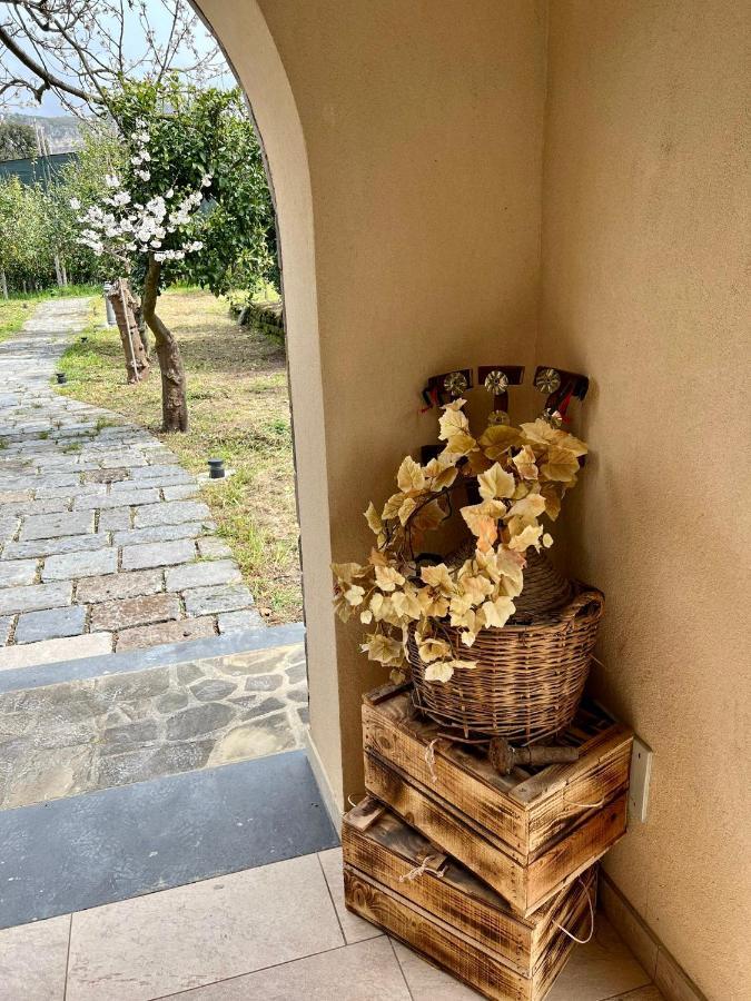 Tenuta Di Leva Piano di Sorrento Ngoại thất bức ảnh